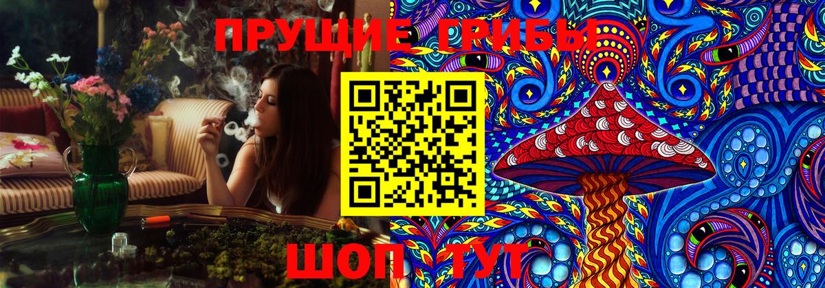Галлюциногенные грибы MAGIC MUSHROOMS  Псилоцибиновые грибы прущие грибы  Вход с VPN  Выборг 