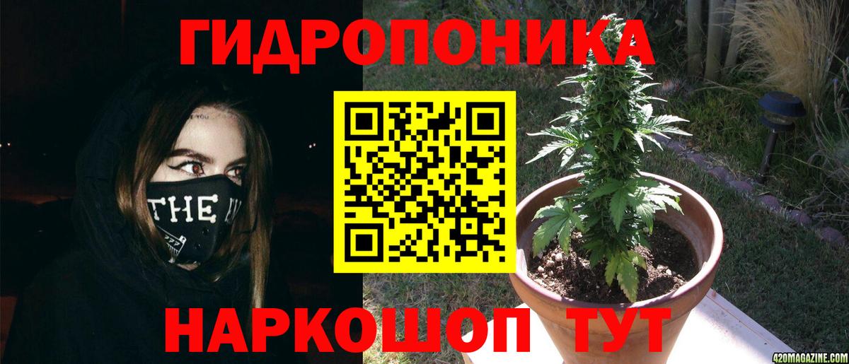 Марихуана Bruce Banner Выборг